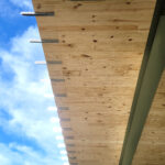 Lindsey Nelson v5 150x150