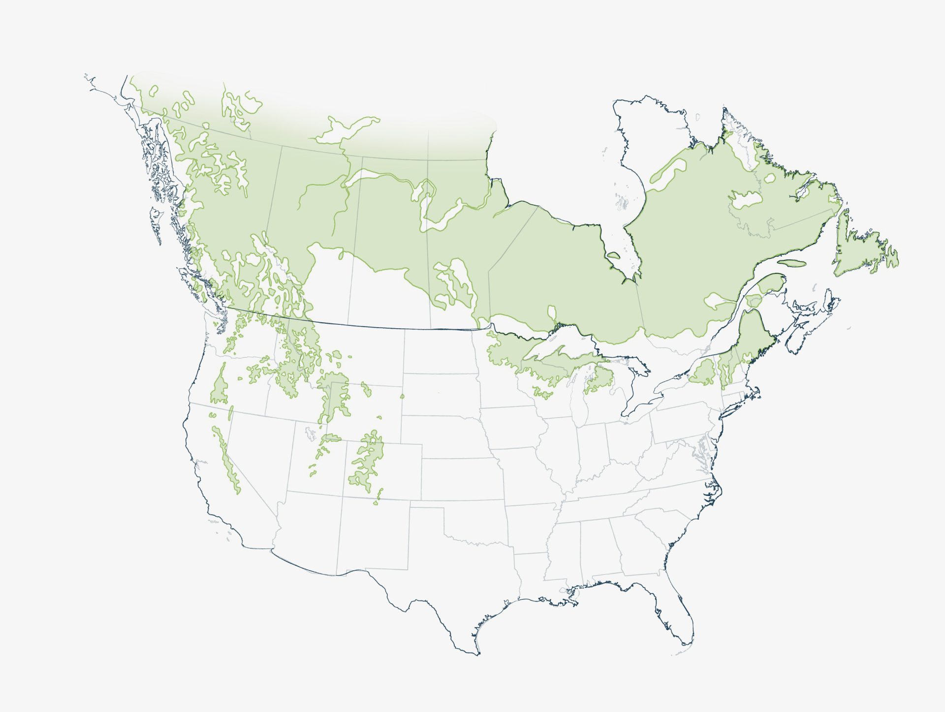 Spruce-Pine-Fir source region